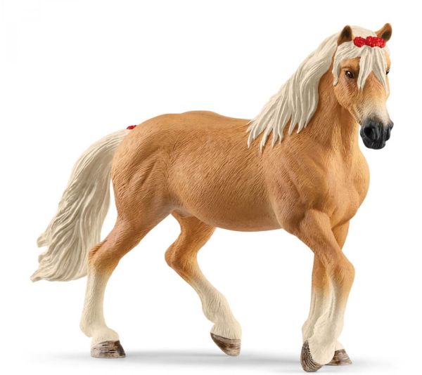 SHL13950 - Haflinger Mare - 1