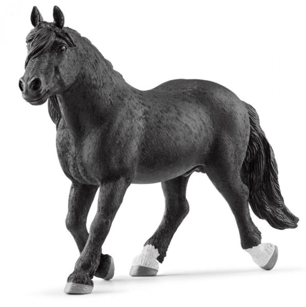 SHL13958 - Stallion Noriker - 1