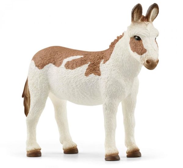 SHL13961 - American donkey. spotted - 1