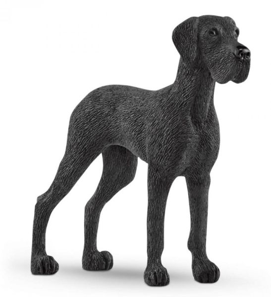 SHL13962 - Great Dane - 1