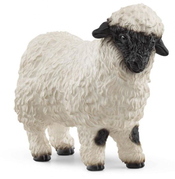 SHL13965 - Black Nose Sheep - 1