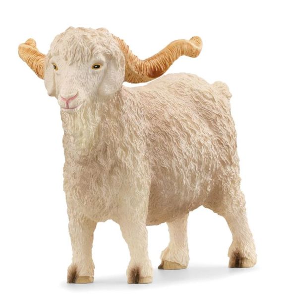 SHL13970 - Angora Goat - 1