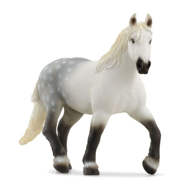 SHL13971 - Percheron merrie - 1