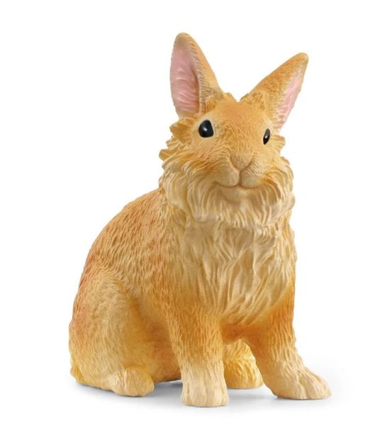 SHL13974 - Lion head rabbit - 1