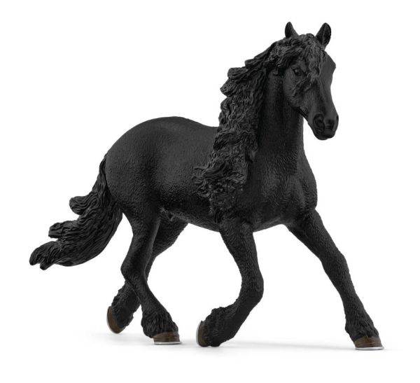 SHL13975 - Friesian stallion - 1