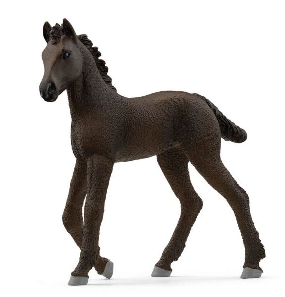 SHL13977 - Frisian Foal - 1