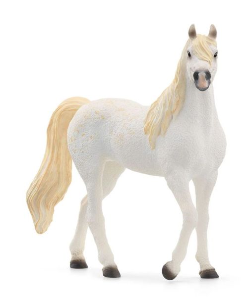 SHL13983 - Arabian mare - 1