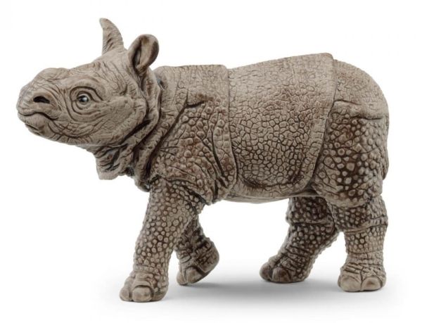 SHL14860 - Indian Rhinoceros Baby - 1