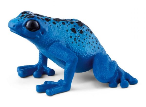 SHL14864 - Dendrobate Frog - 1