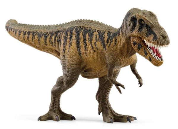 SHL15034 - Tarbosaurus - 1