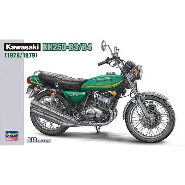 HAW21508 - 1978/1979 KAWASAKI KH250-B3/B4 Motorcycle to be built and painted - 1