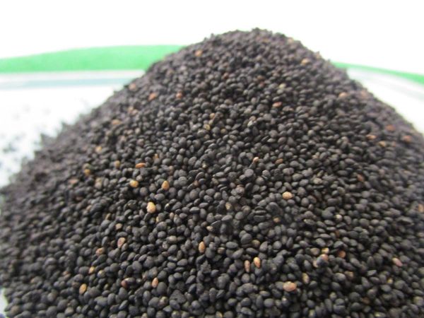 JUW23310 - 100 gr of imitation rapeseed - 1