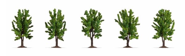 NOC25620 - 5 Leafy trees 8 cm - 1