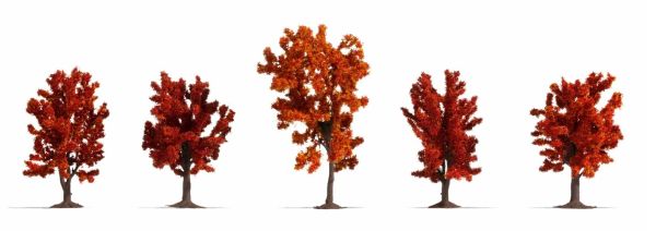 NOC25625 - 8 Autumn trees 8-10 cm - 1