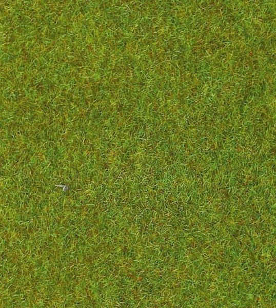 HEK30902 - Light green grass mat - 100x200 cm - 1