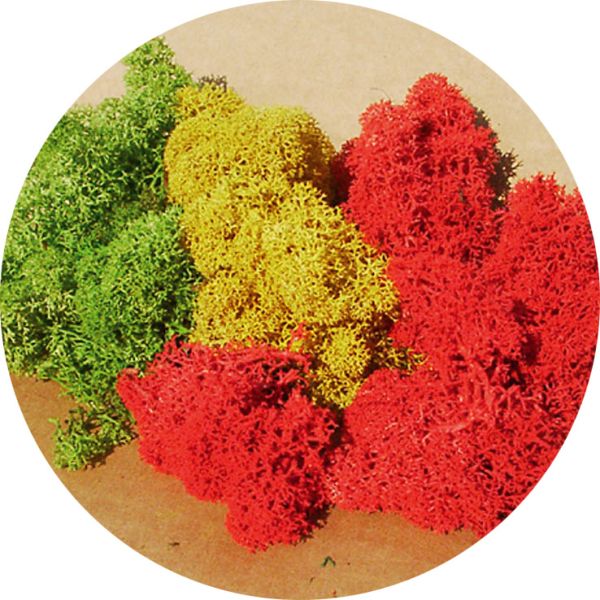 HEK3214 - Lichen assorted colours 30g - 1