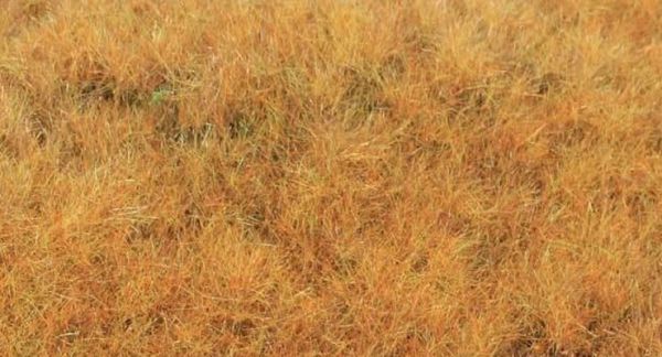 HEK33544 - Early autumn grass fibre 5-6 mm - 75g - 1