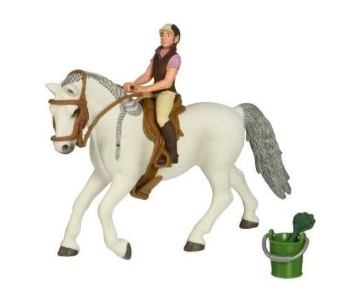 SHL41433 - Rider on a Lipizzaner mare - 1