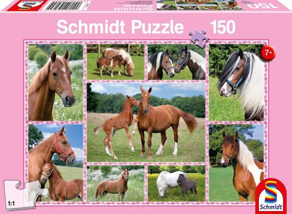 SCM56269 - 150 Pieces Horse Dreams Puzzle - 1