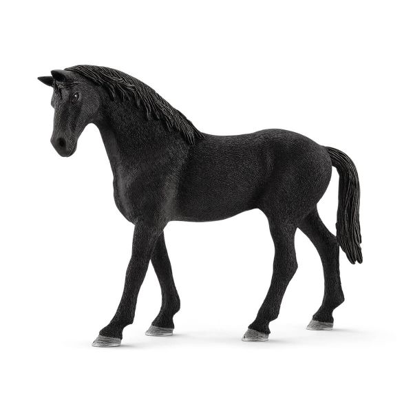 SHL72167 - English thoroughbred stallion - 1