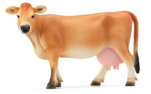 SHL13967 - Jersey Cow