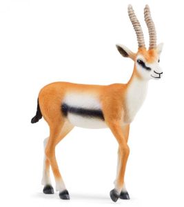 SHL14861 - Thomson's Gazelle