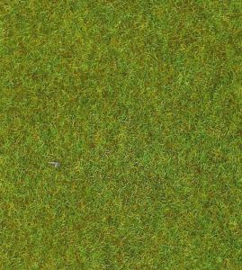 HEK30902 - Light green grass mat - 100x200 cm