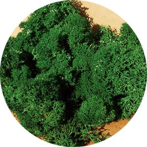 HEK3211 - Lichen dark green 30g