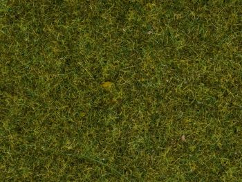 NOC08152 - Pot scatter grass spring meadow 120g