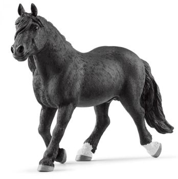 SHL13958 - Stallion Noriker