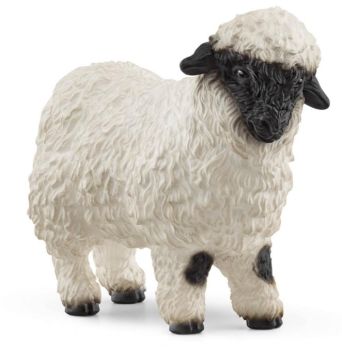 SHL13965 - Black Nose Sheep