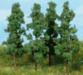 HEK1737 - Set of 4 Poplars 13 cm