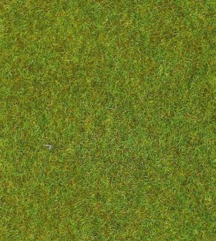 HEK30902 - Light green grass mat - 100x200 cm