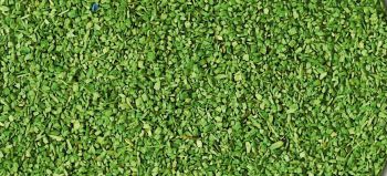 HEK3301 - Light green ground cover 40g