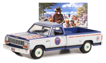 GREEN38040-D - 1989 DODGE Ram D-150 from the SMOKEY BEAR series under blister