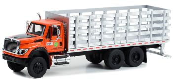 GREEN45180-A - INTERNATIONAL Workstar 6x4 forwarder 2017 from the S.D. TRUCKS series in blister packs