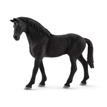 SHL72167 - English thoroughbred stallion