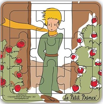 MGM865007-D - Wooden frame puzzle 9 pieces THE LITTLE PRINCE from the front