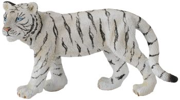 COLL88429 - White Tiger walking