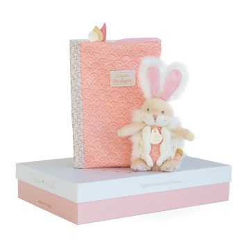 DC3498 - Pink sugar bunny - Box protects health book with blanket