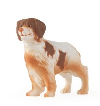 ERT46530 - Brittany Spaniel