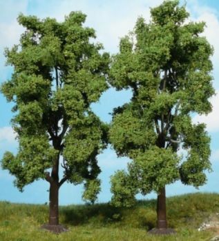 HEK1707 - Set of 2 Ash trees 19 cm