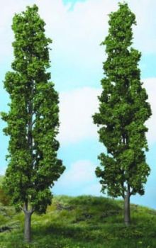 HEK1983 - Set of 2 Poplars 27 cm