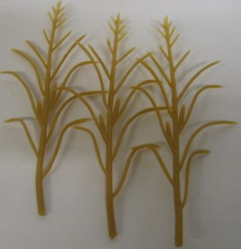 JUW23289 - 50 feet of miniature yellow grain corn height 10 cm