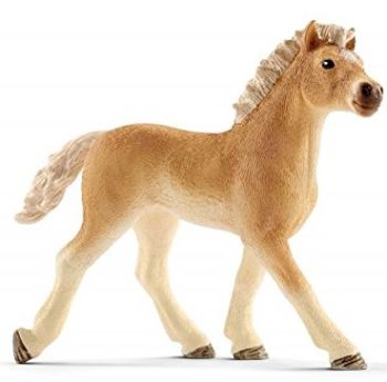 SHL13814 - Haflinger foal