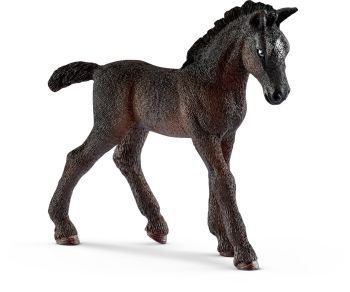 SHL13820 - foal Lipizzan