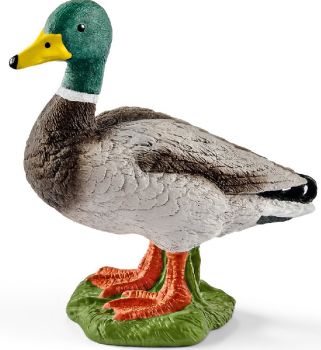 SHL13824 - Duck