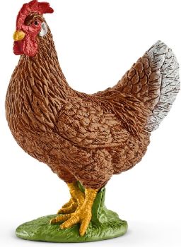 SHL13826 - hen