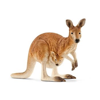 SHL14756 - Kangaroo