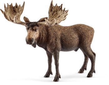 SHL14781 - Moose